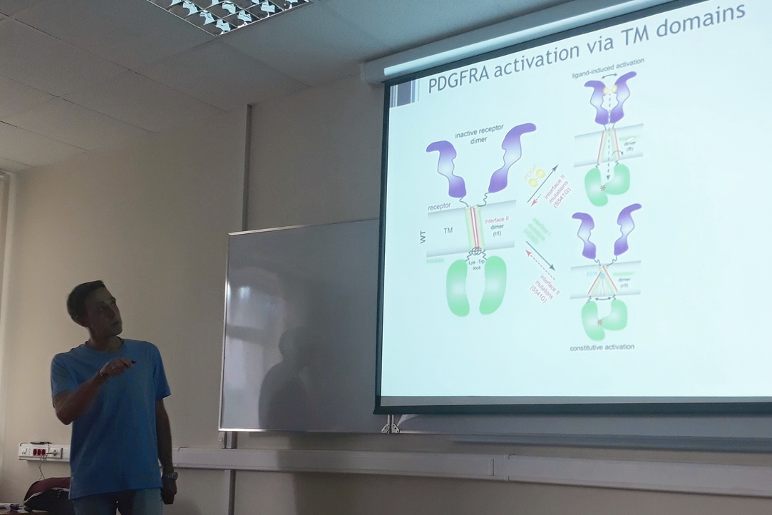 Illustration for news: Lecture on Atomistic Mechanism of the Constitutive Activation of PDGFRA Via Its Transmembrane Domain